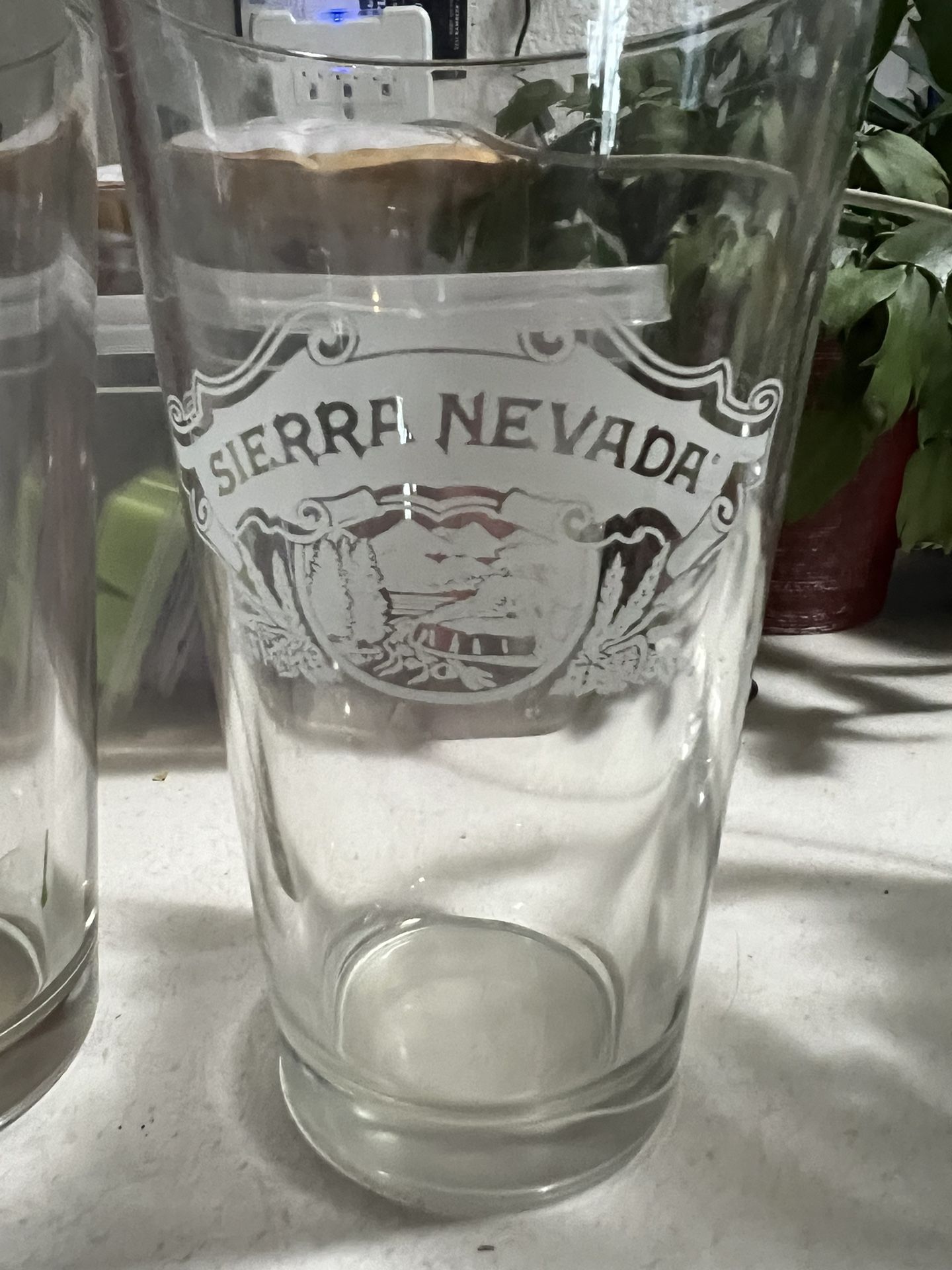 Sierra Nevada Etched Glasses