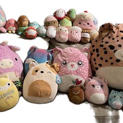 Squishmallows 