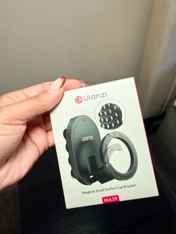 Magnetic car mount