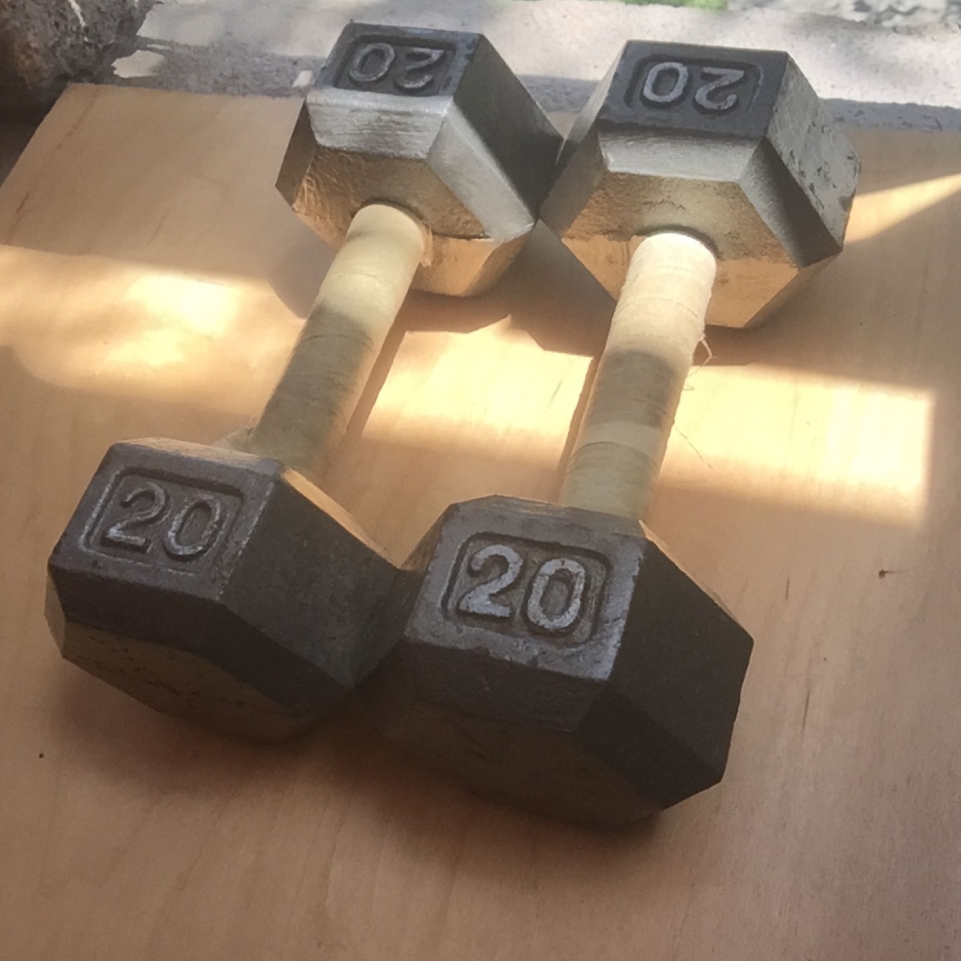 20 Lb Dumbbells