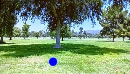 Cemetery Plot