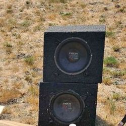2 - 10" Orion Subwoofer 