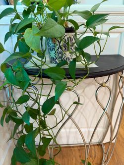 Plant table and plastic pumpkin
