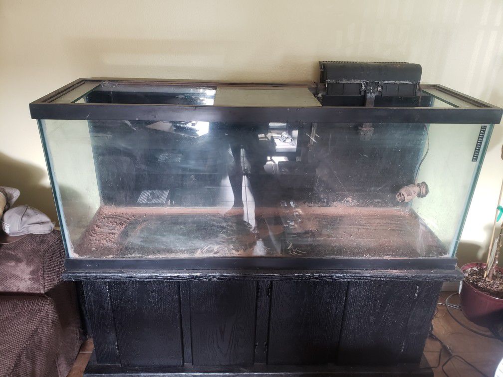 120gal tank with stand and accessories.