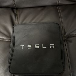 Tesla Carrying 