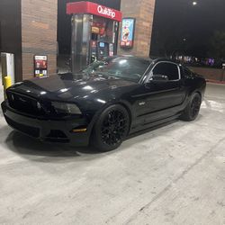 2014 5.0 Mustang (Brembo Brake)