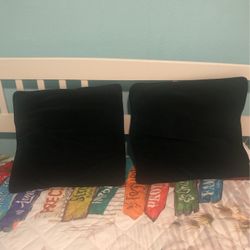 2 Couch Or Bed Pillows 50 Cents For Both