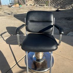 Salon/Barber chair