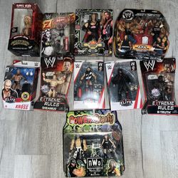 WWE wrestlers 