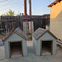Houses for dogs 