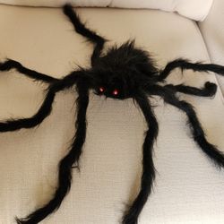 Halloween Spider