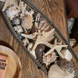 Sea Shells In A Seaside Motif