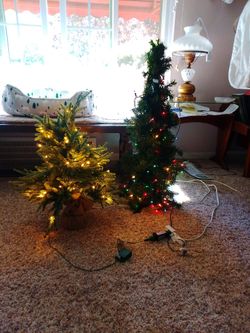 Two Christmas Trees