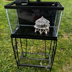 10-Gallon Fish Tank w/ Stand + Filter, Heater, Driftwood & Decor