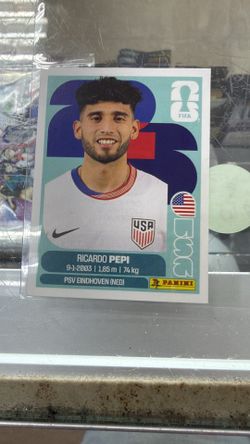 Panini sticker