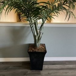 Artificial Palm Tree