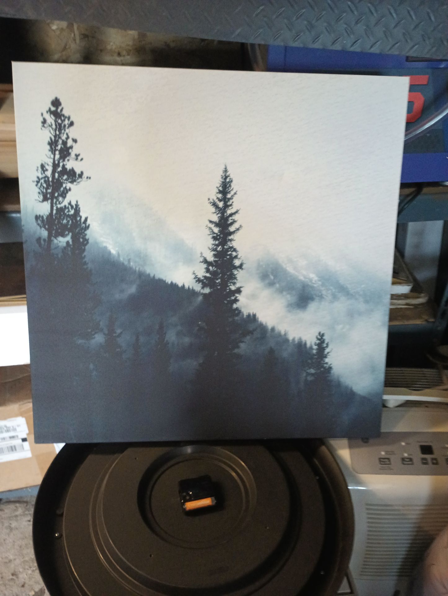 HIGH MOUNTAIN TREE TOP SCENE