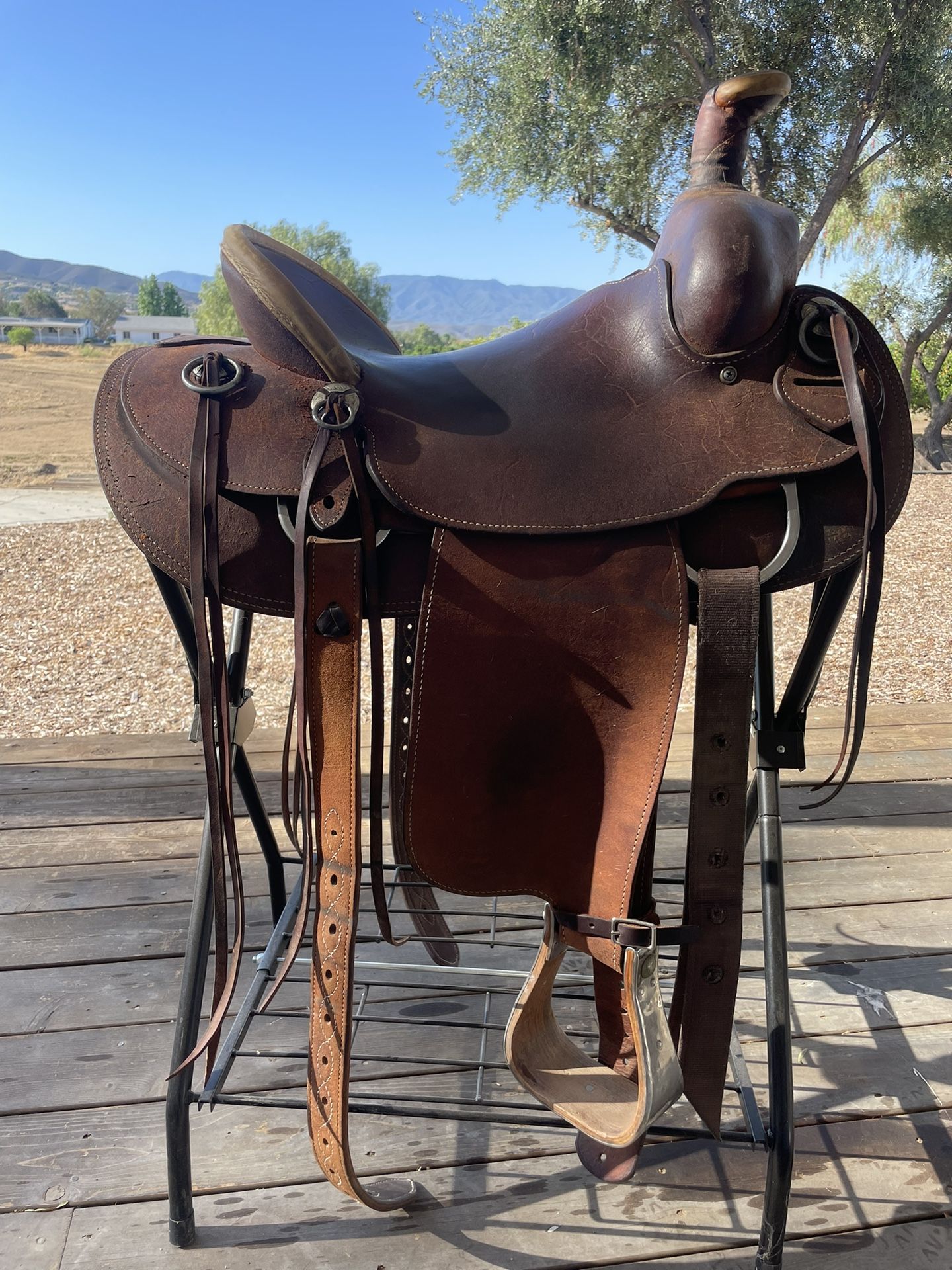 Saddle Custom