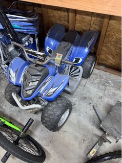 Yamaha raptor