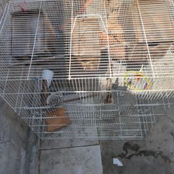 Bird Cage
