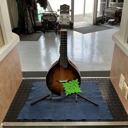 Gold Tone 6 String Mandotar (GM-6)