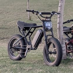 Ridstar (Trades Only)