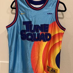 Nike Tune Squad Brand New Jersey