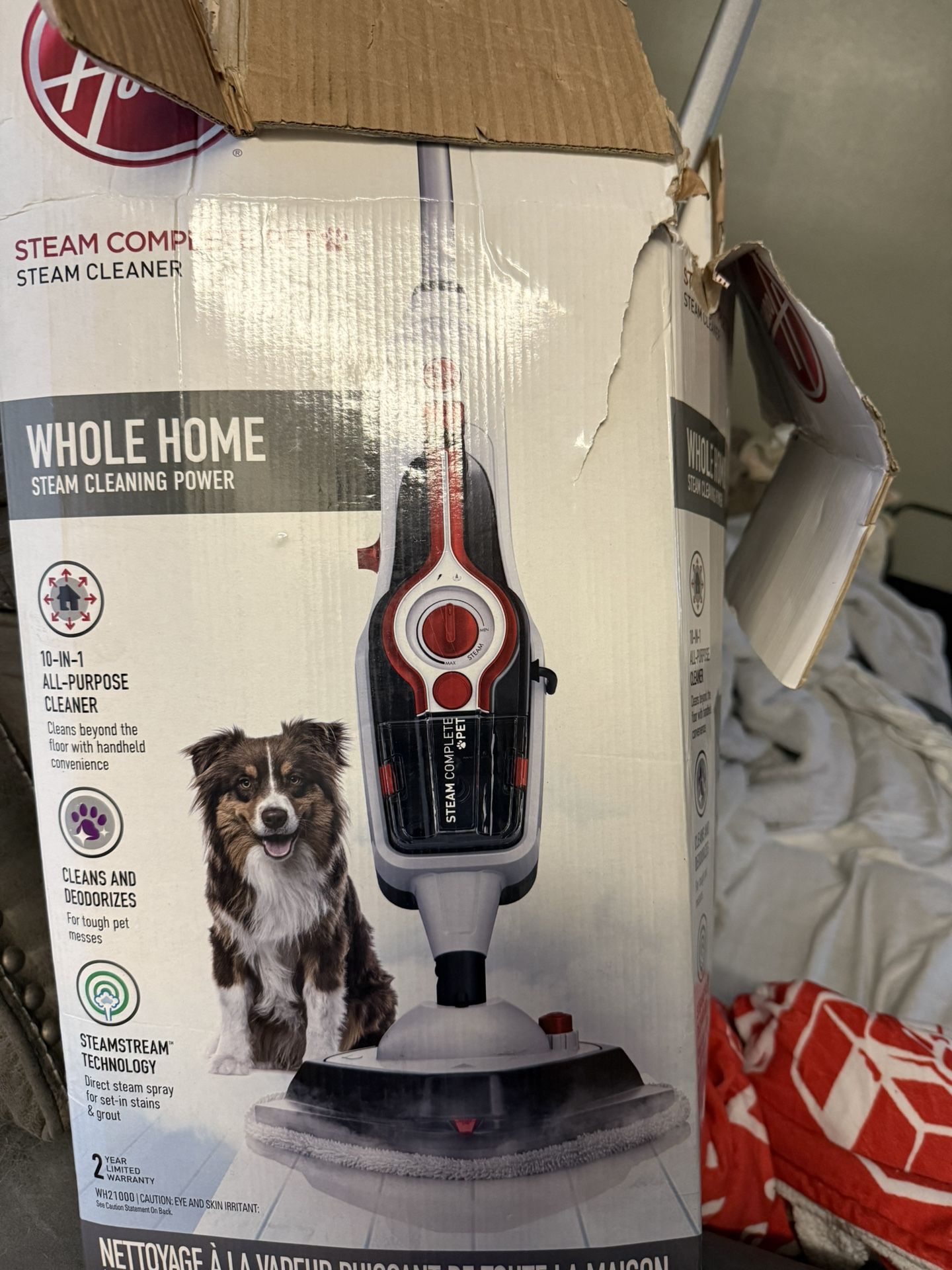 Steam Cleaner