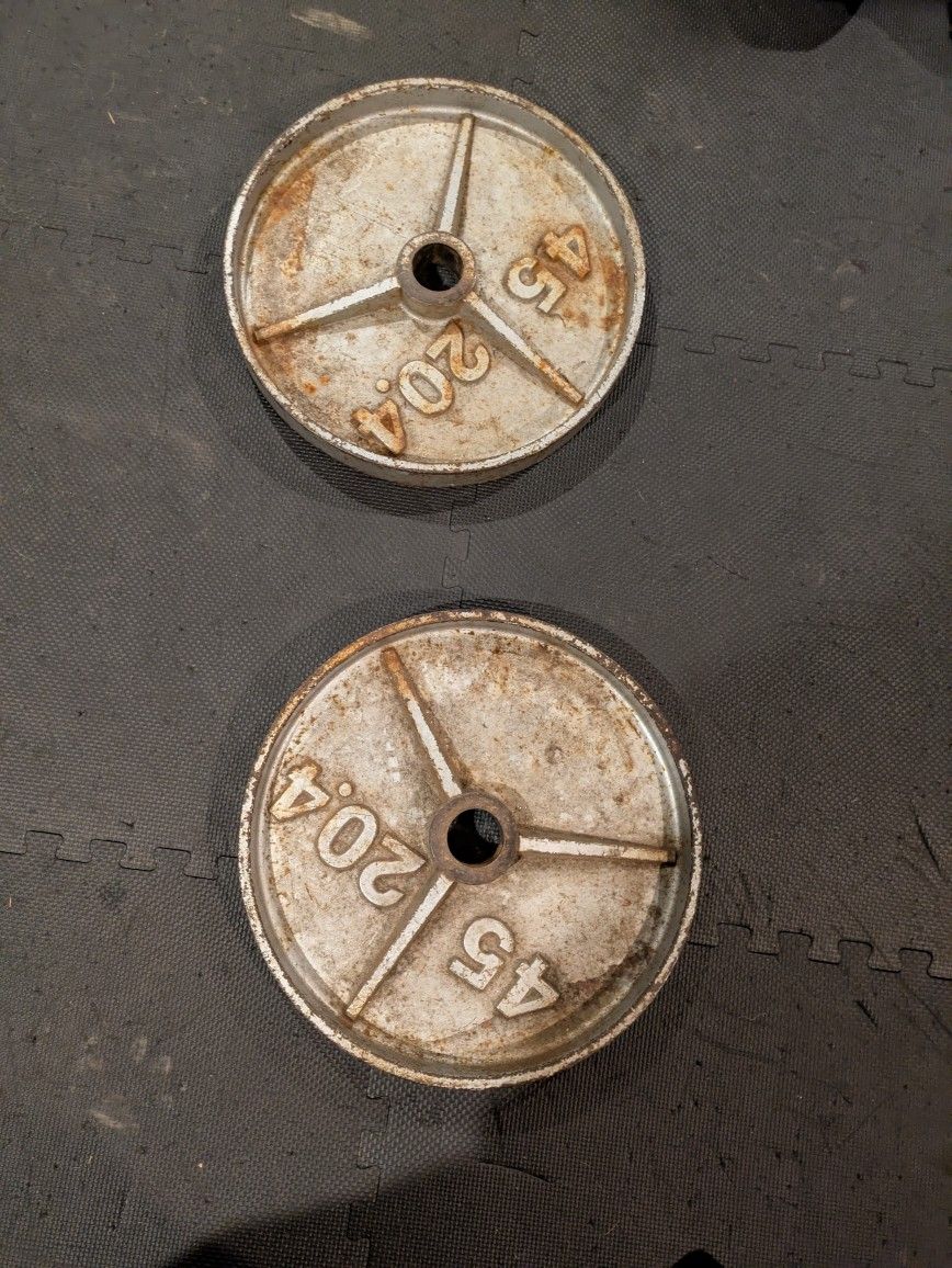 45lb Olympic Plate (Pair)