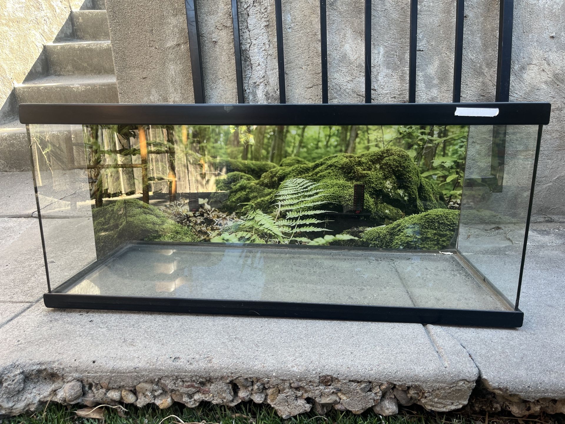 Glass Terrarium