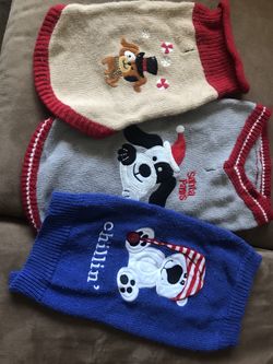Dog outfits