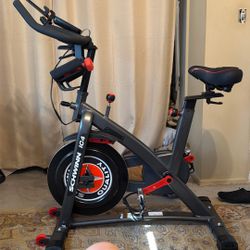 Schwinn IC4