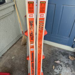 Little giant Extendable Ladder
