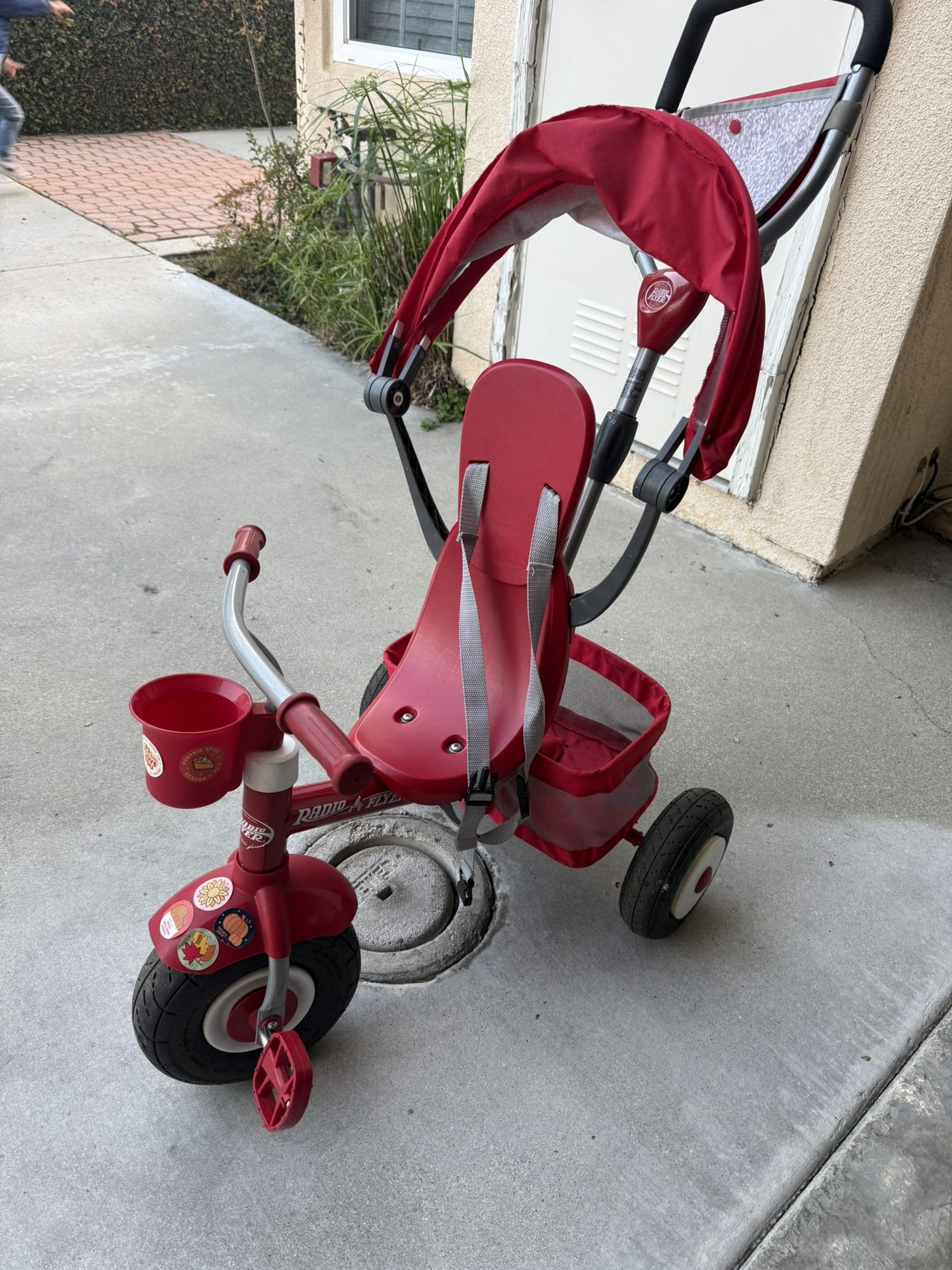 Radio Flyer Bike Stroller