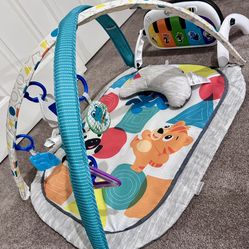 Play Gym