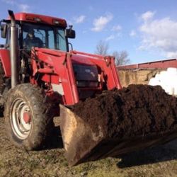 Compost 