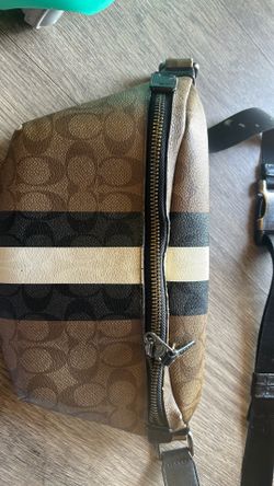 Original Coach Back