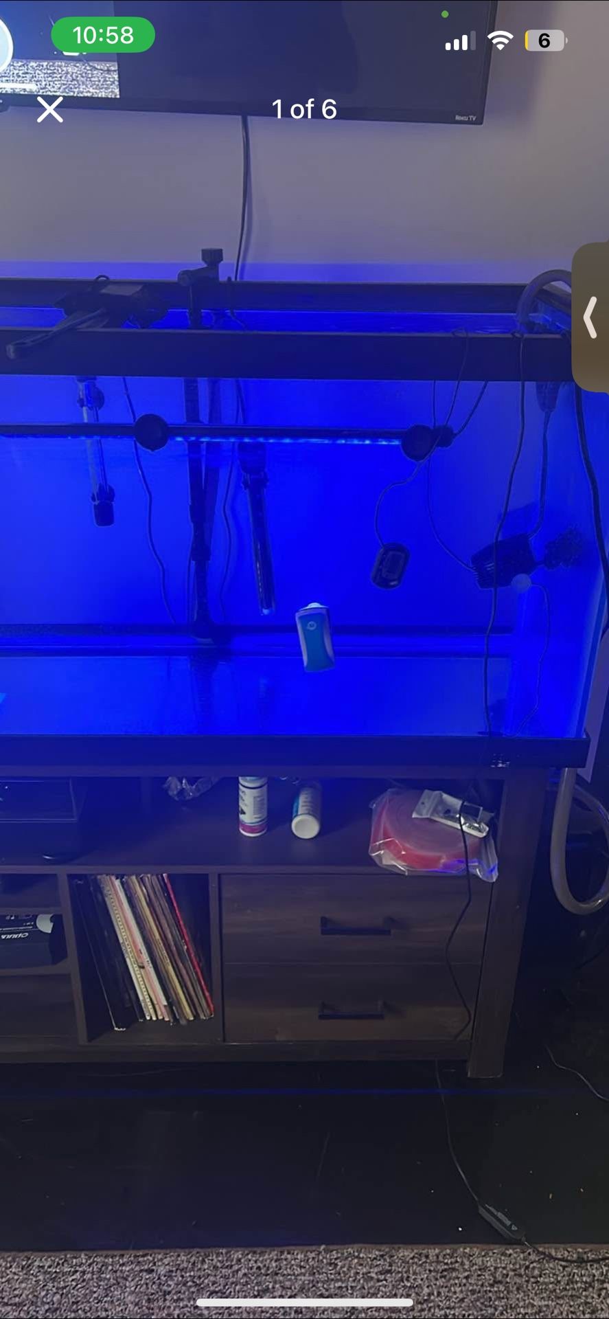 75 gallon aquarium with everything needed
