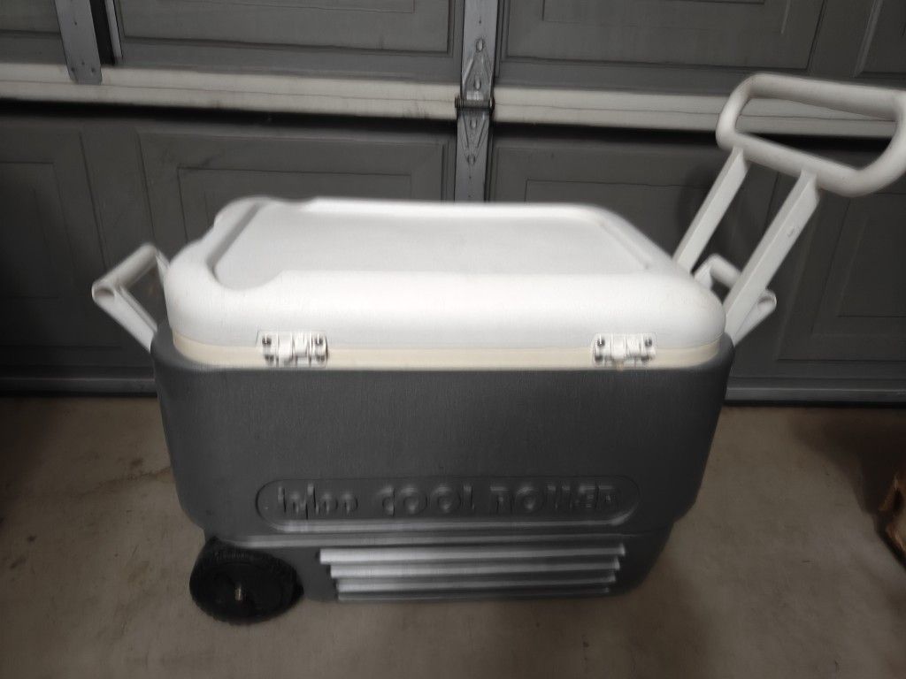 Igloo Cooler