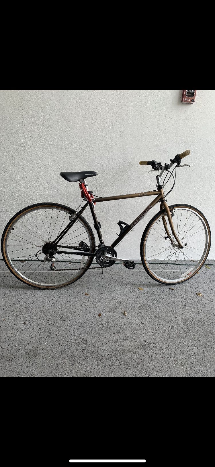 ale master bib shorts