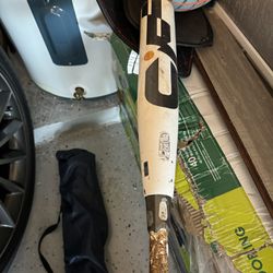 travel baseball bat
