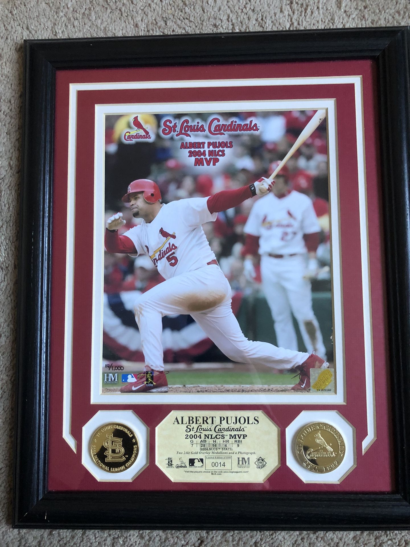 Sports picture Albert Pulols