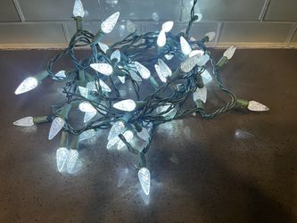 2-Christmas Lights  14 Ft Each