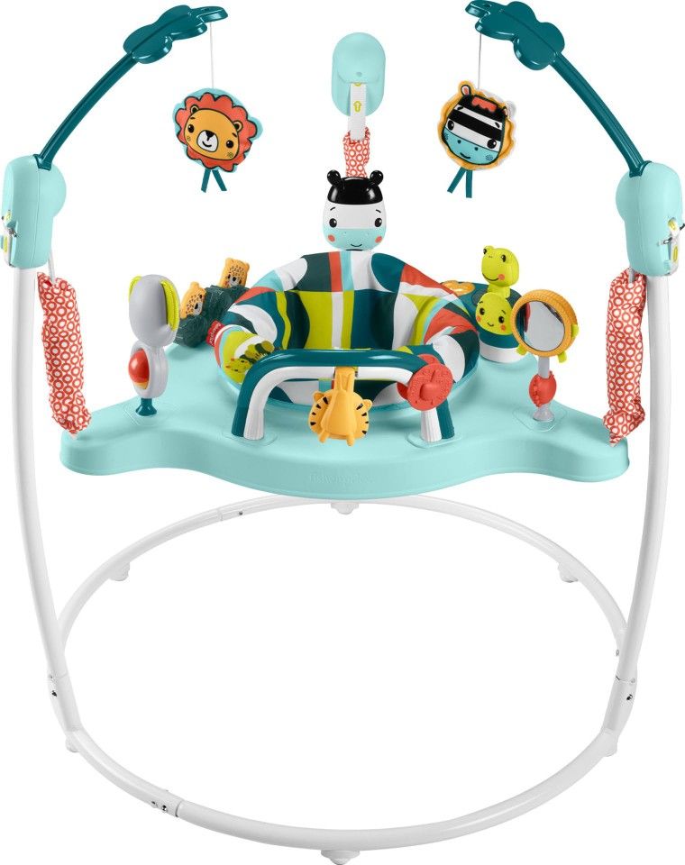 Fisher-Price Jumperoo Bouncer New