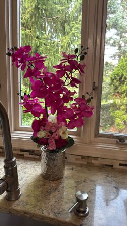 Flower With A Vase Orchid