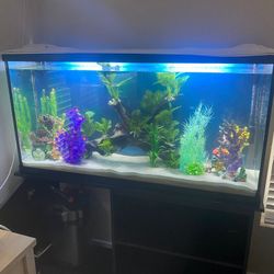 Marineland 60G Aquarium + Marineland 360 Canister Filter 