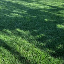 Gardening Services And Landscape 