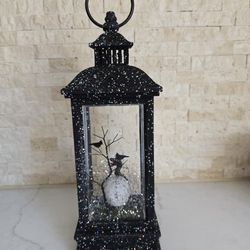 Skull Water Globe