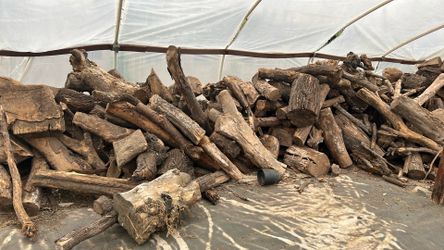 Firewood