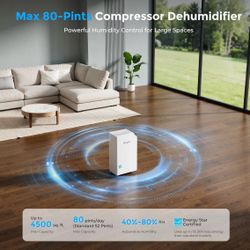 Smart Compressor Dehumidifier with Drain Hose